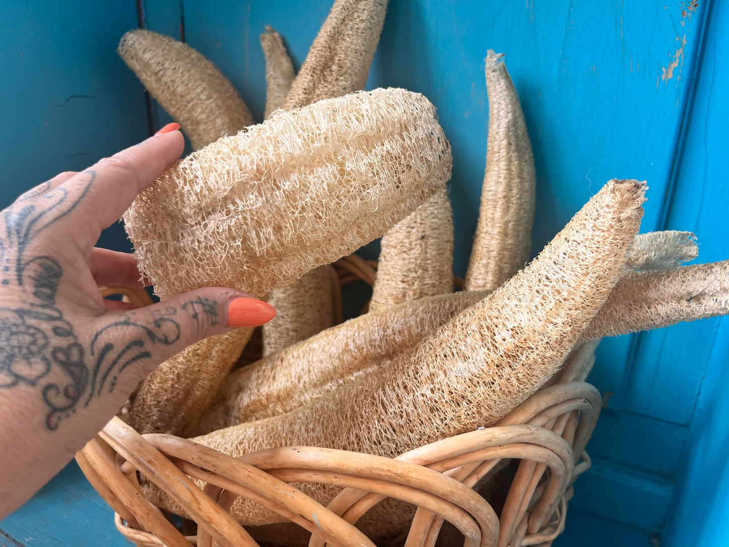Loofah soap